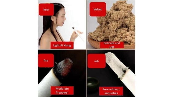 전통적인 중국 의학 이론 지출 저렴한 가격으로 뜨거운 연기 모카 스틱