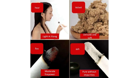 효과적 20cm Moxibustion Stick for Home Length 1.8*20cm-4 탈습 및 난방