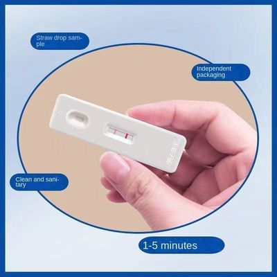 2년 유통기 초기 임신 테스트 펜 성인용 루 셰 메모 쿼시 -20162400592